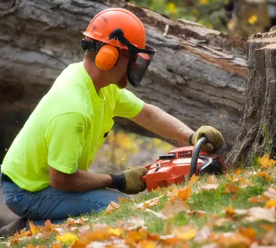 tree services Duenweg